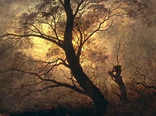 Caspar David Friedrich Trees in the moonlight